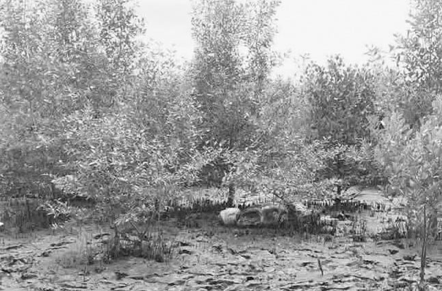 Photo courtesy: Sulop Police Station