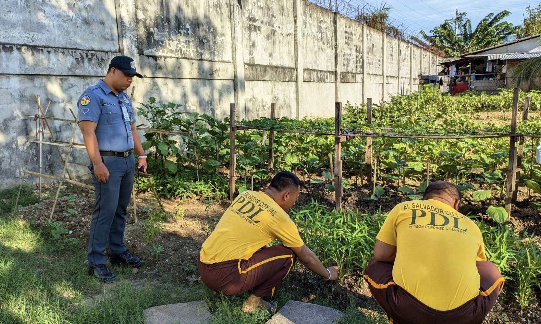 5 PDLs in Misamis Oriental finish reform program