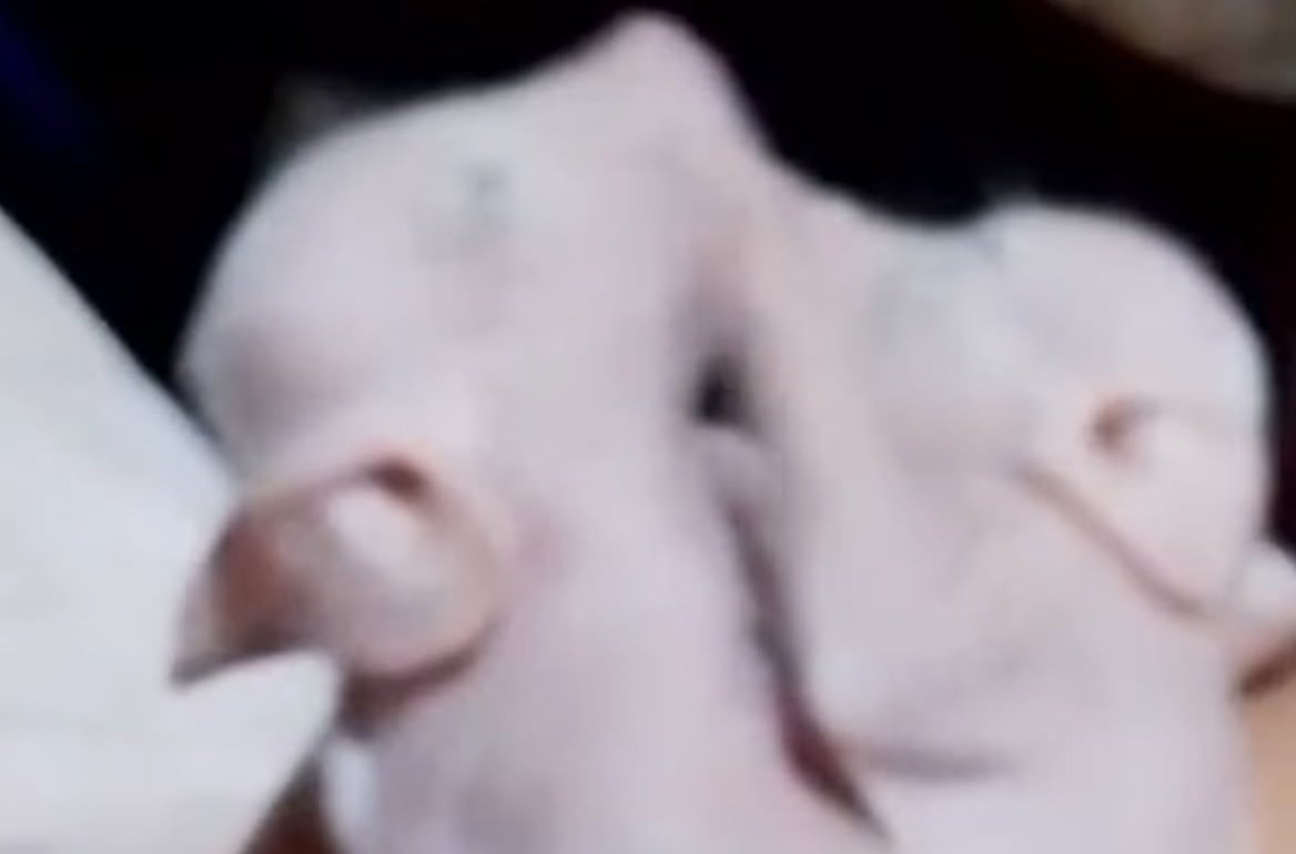 Image from video via Jhon Riveral Arreglo