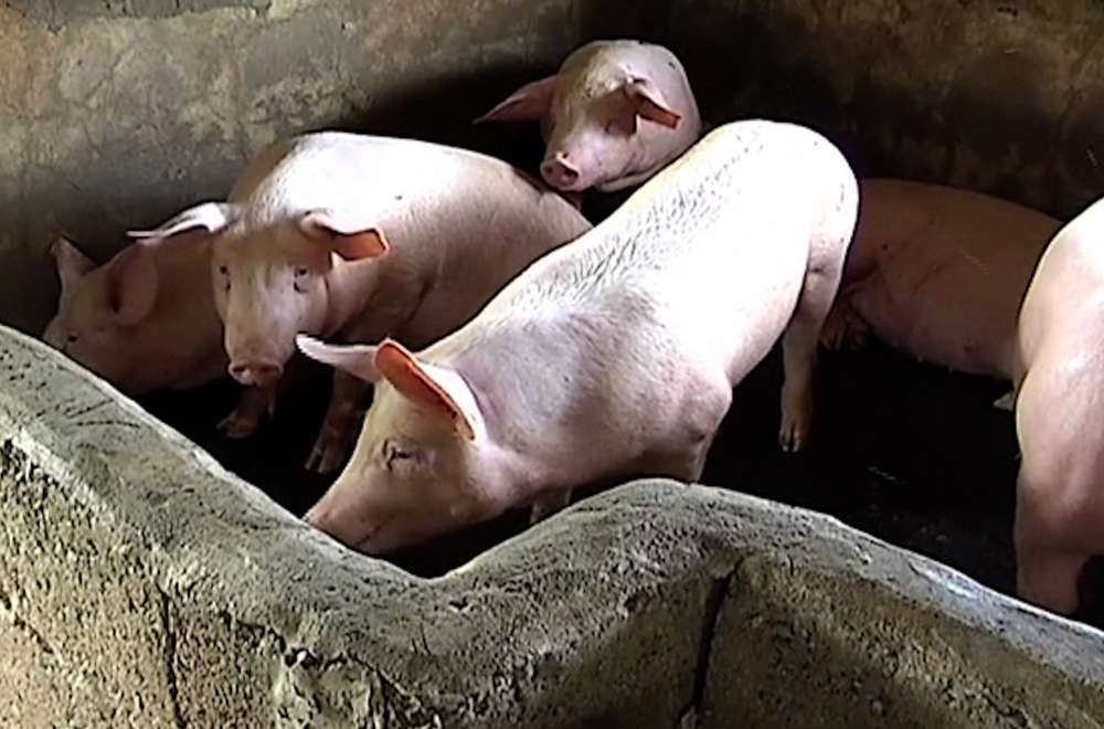 Photo via One North Central Luzon