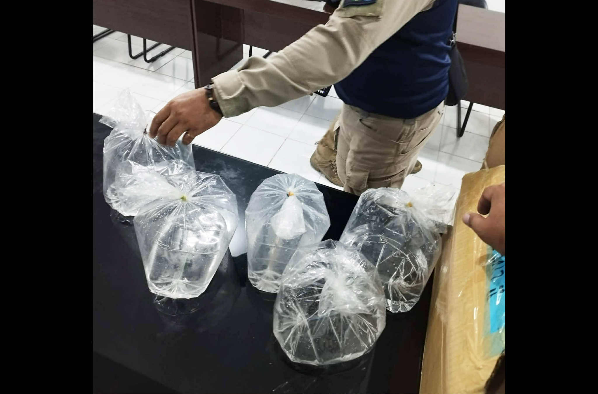 Photo courtesy: BFAR-12