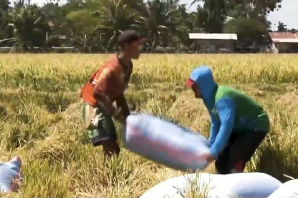 Image from video via GMA Regional TV One Mindanao