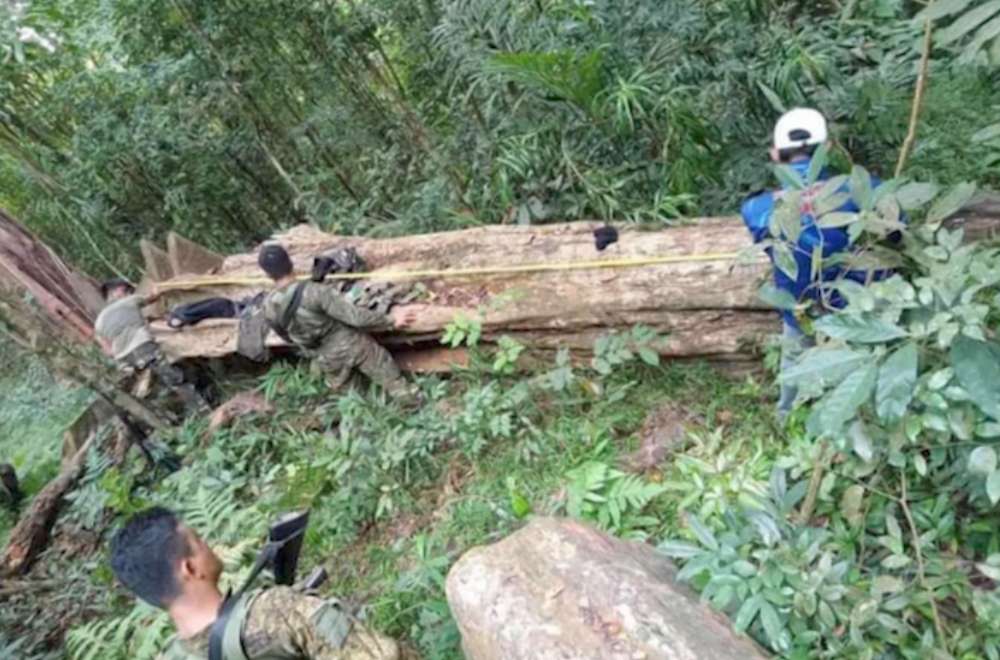 Photo Courtesy: Limay PNP