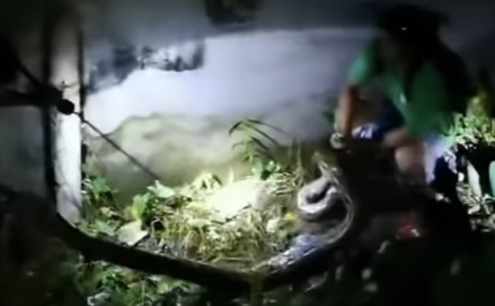 Image from video via Los Eli Angeles