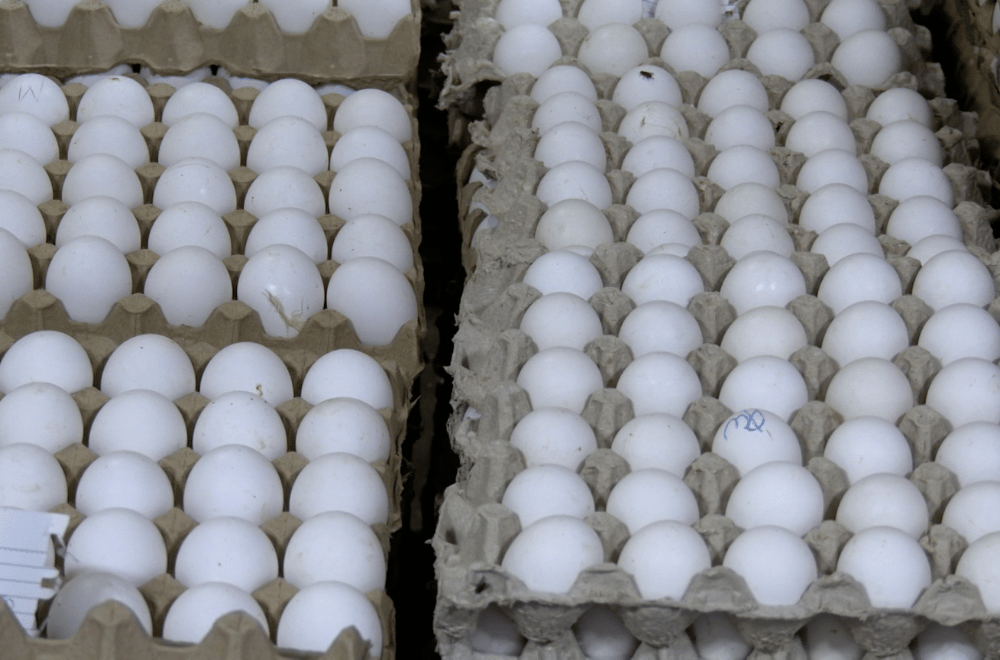 Photo via GMA Regional TV One North Central Luzon