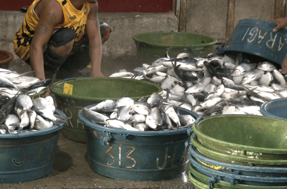 Photo via GMA Regional TV One North Central Luzon