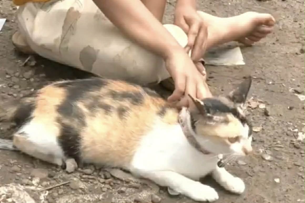 Image from video GMA Regional TV One Mindanao