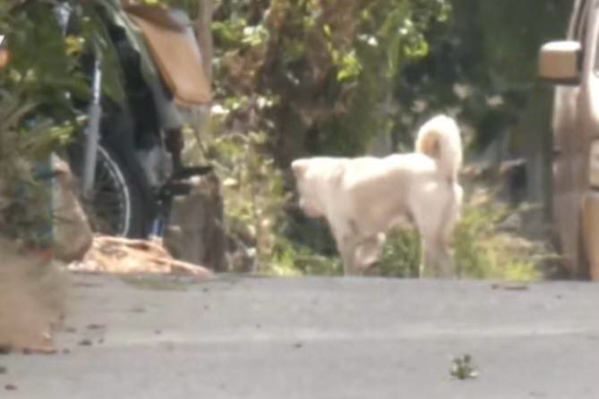 Image from video via GMA Regional TV One Mindanao