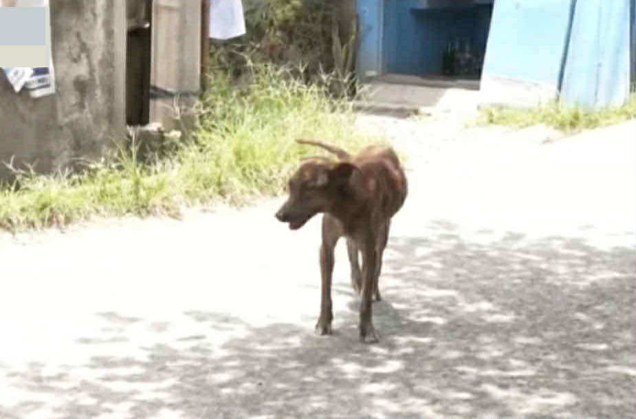 Image from video GMA Regional TV One Mindanao