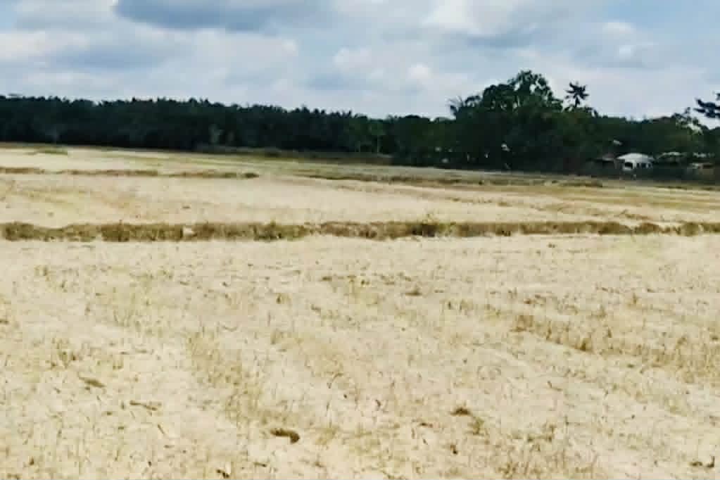 Image from video via GMA Regional TV One Mindanao