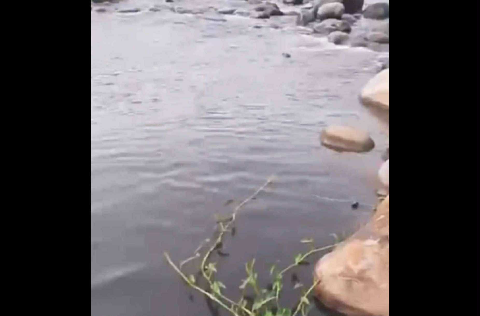 Image from video via JLC Cobero/James Caparas