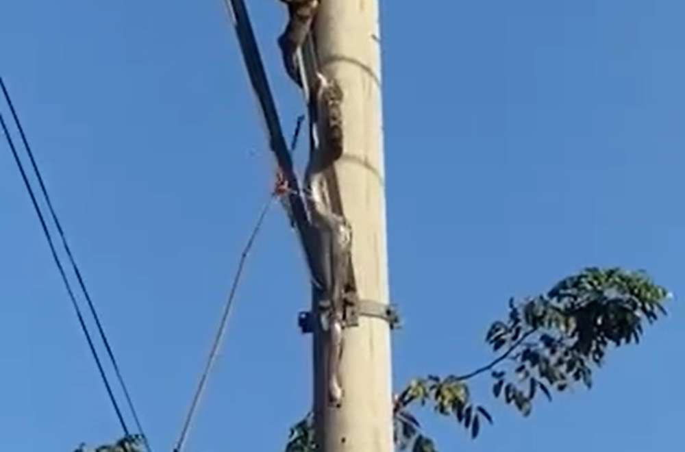 Photo via One North Central Luzon