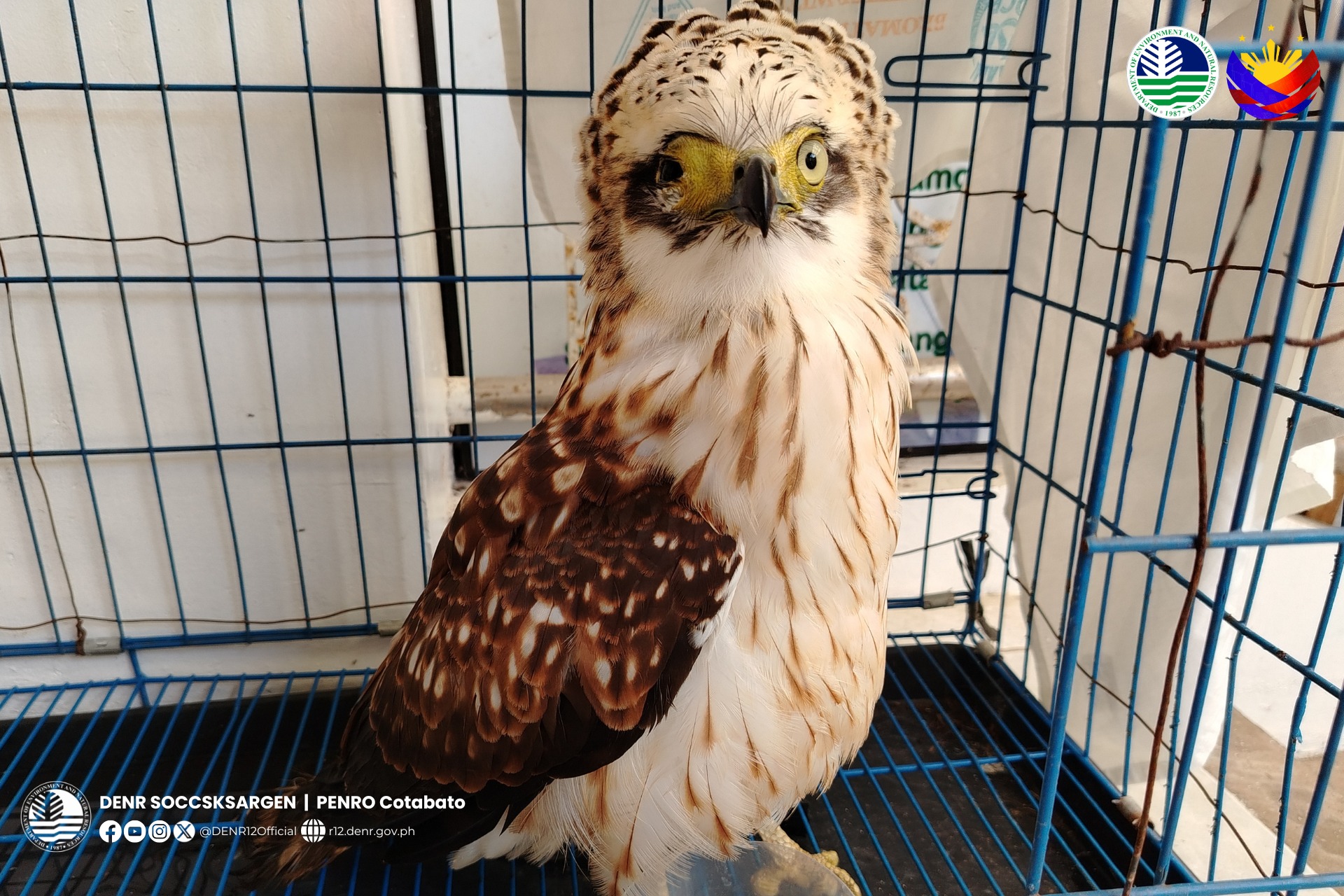 Photo courtesy: PENRO Cotabato/DENR-12