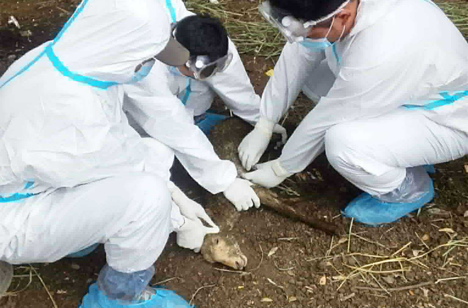 Photo courtesy: Jeckul Gervacio