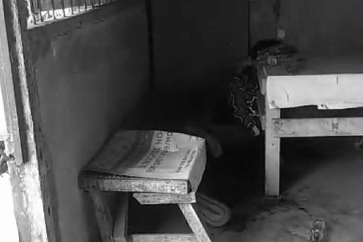 Image from video via Reymond David