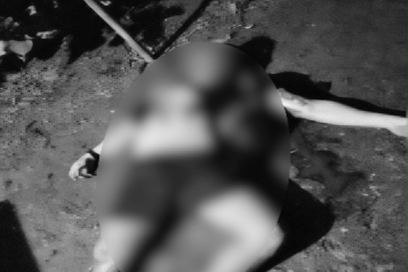 Photo courtesy: PRO-10