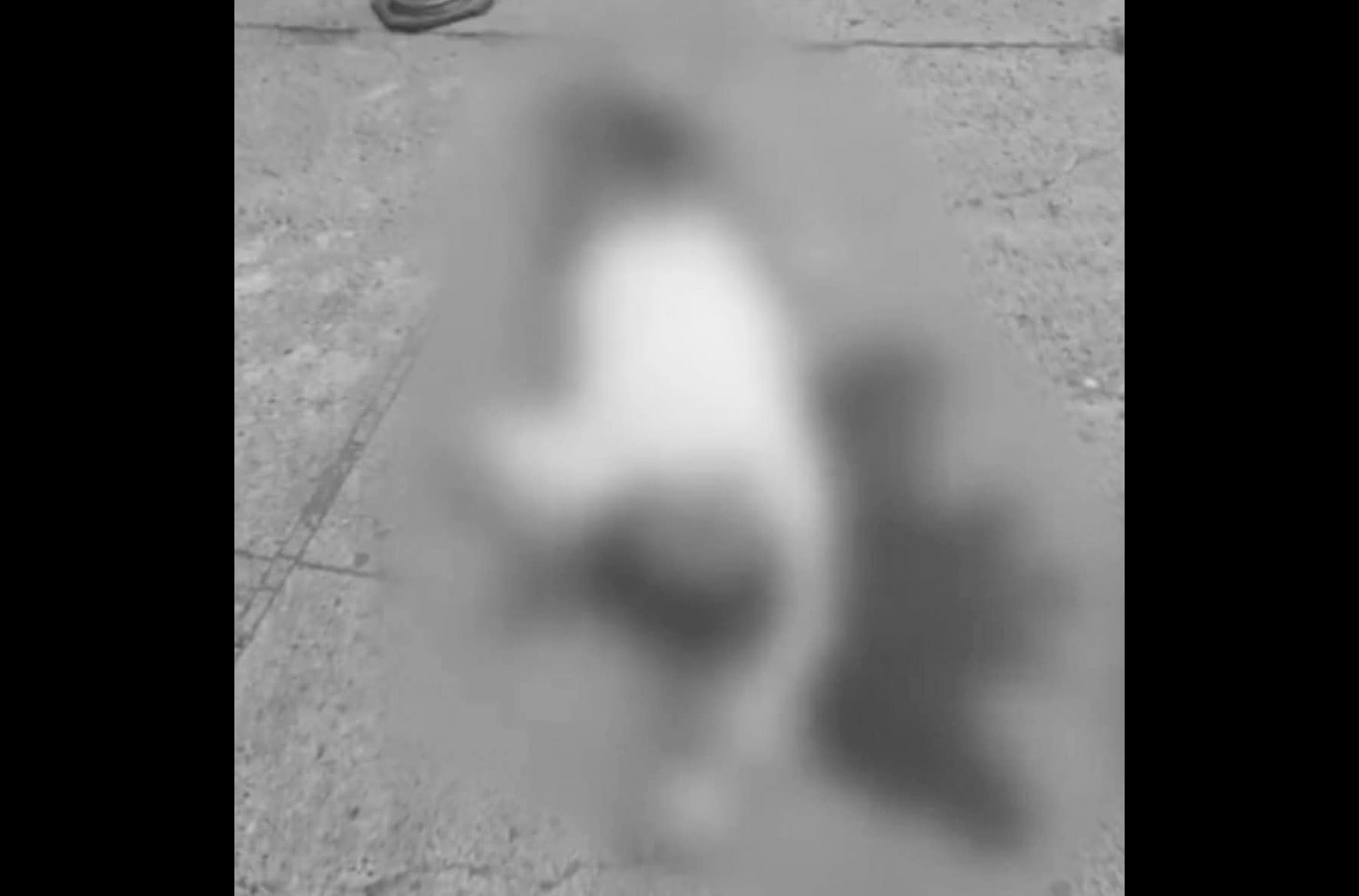 Photo courtesy: DCPO