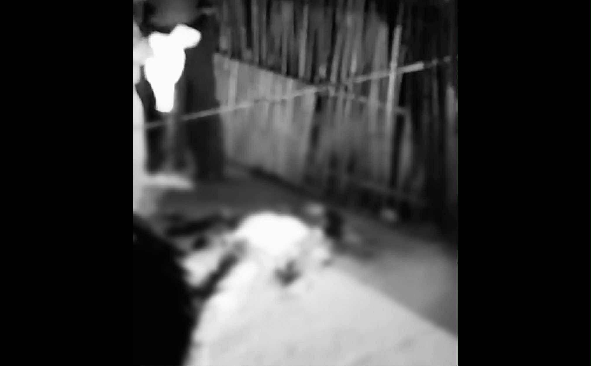 Image from video via Jenny Moto Vlog