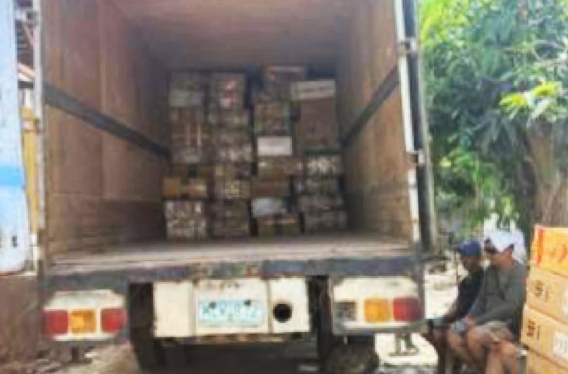 Photo courtesy: PRO-11