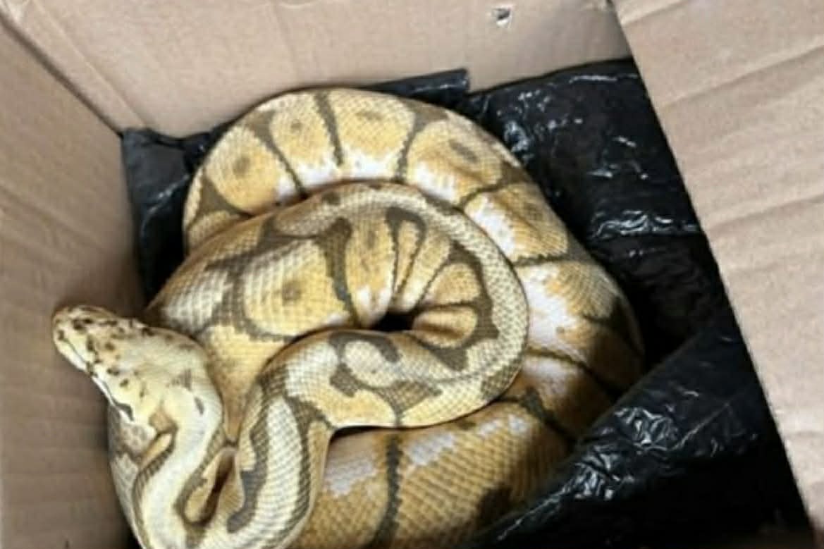 Photo courtesy: PNP-Maritime Group