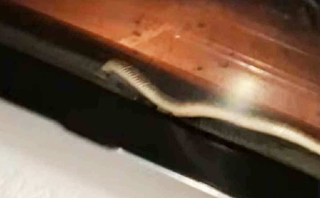 Image from video via Julius Ivanhoe Golez