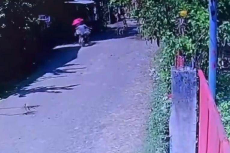 Image from video via Genaro Cadigal Jr.