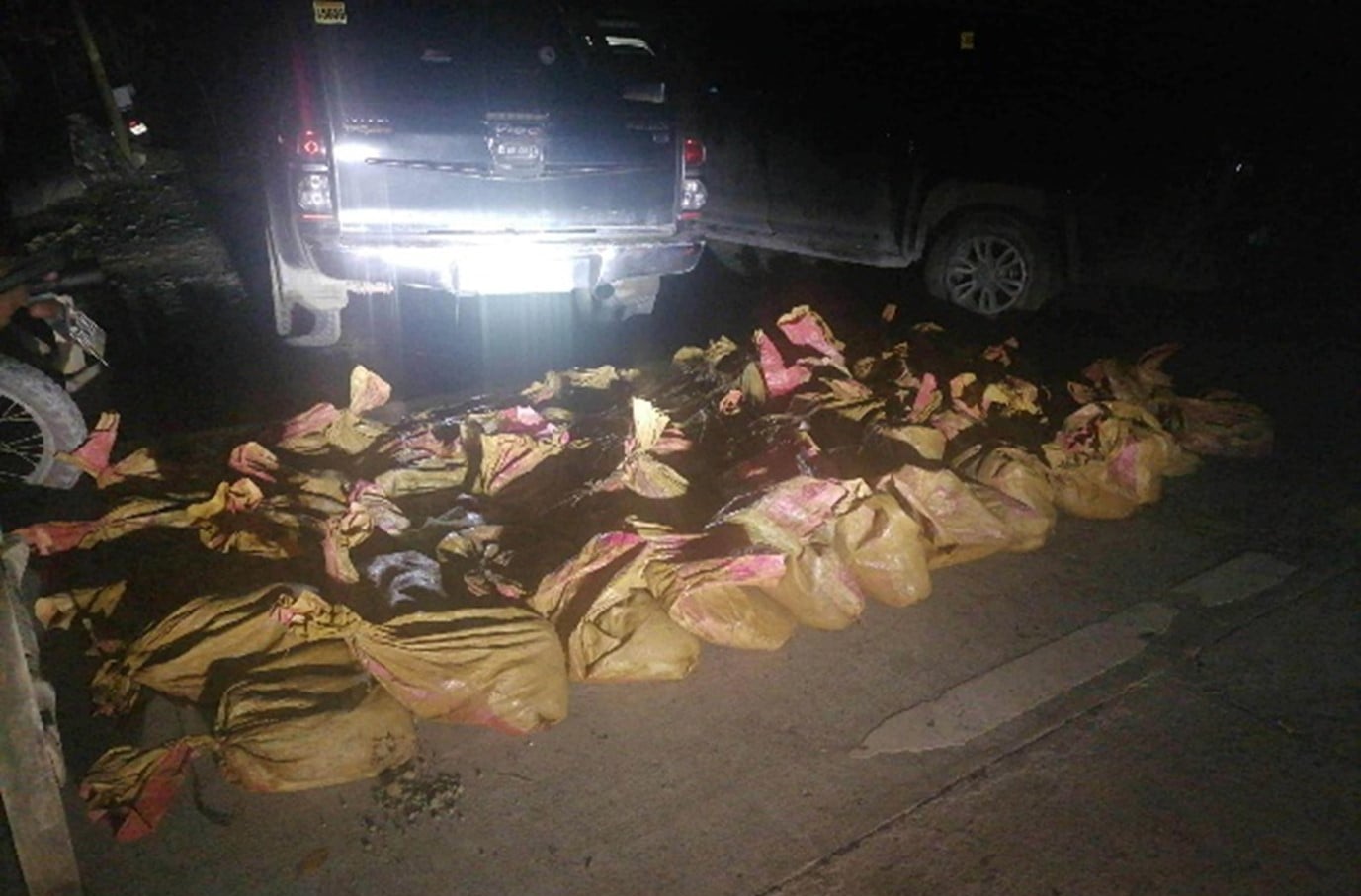 Photo courtesy: PRO-10