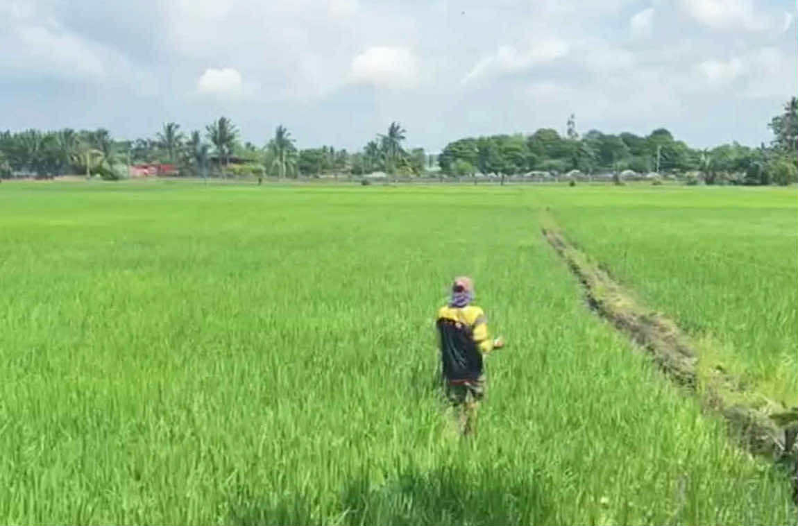 Image from video via GMA Regional TV One Mindanao