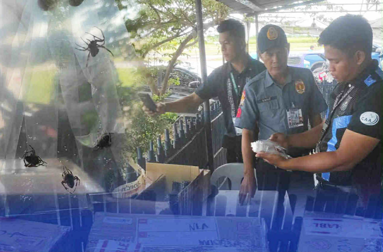 Photo courtesy: PNP AVSEGROUP
