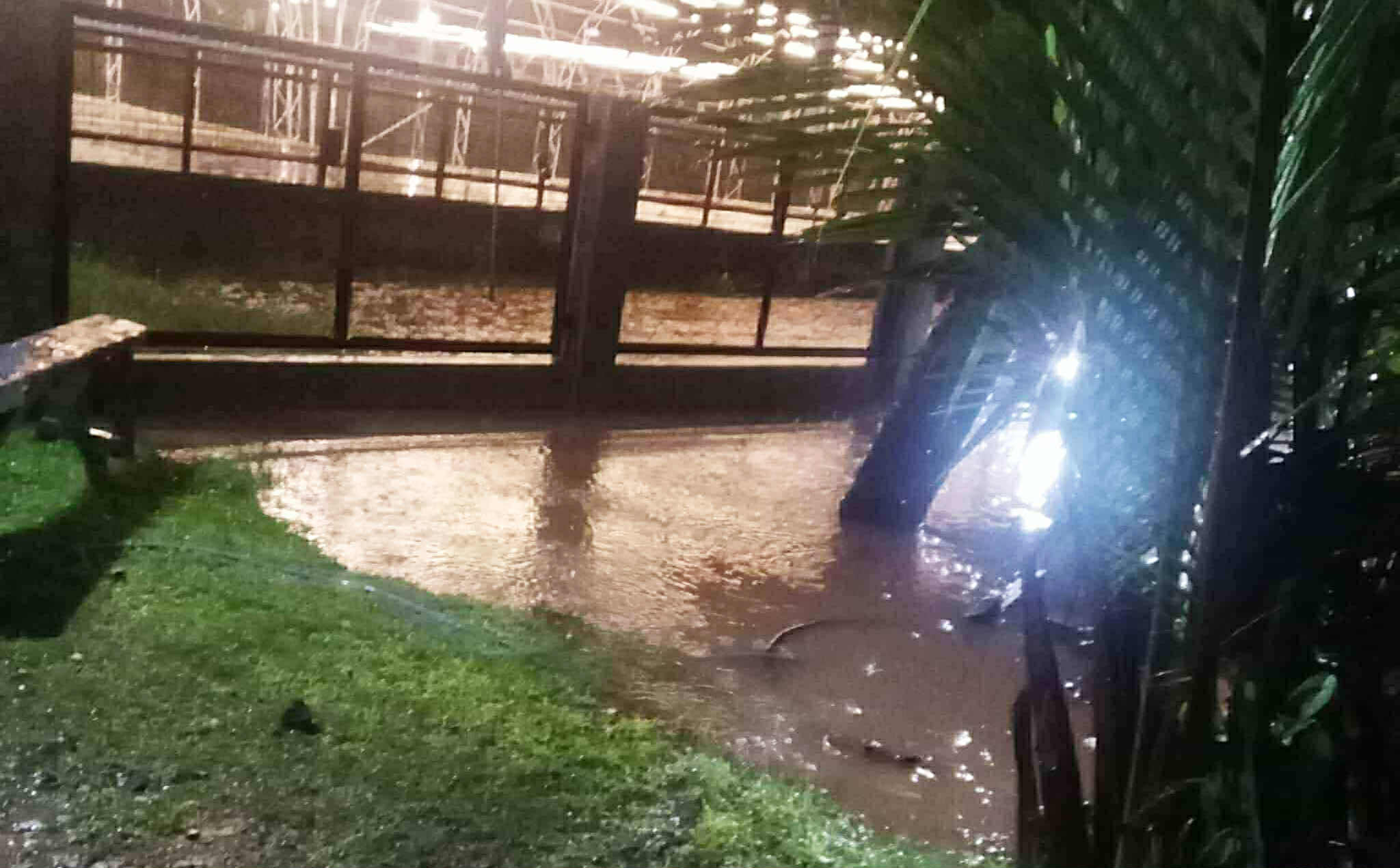 Photo courtesy: Paul Medina/City Tourism Office