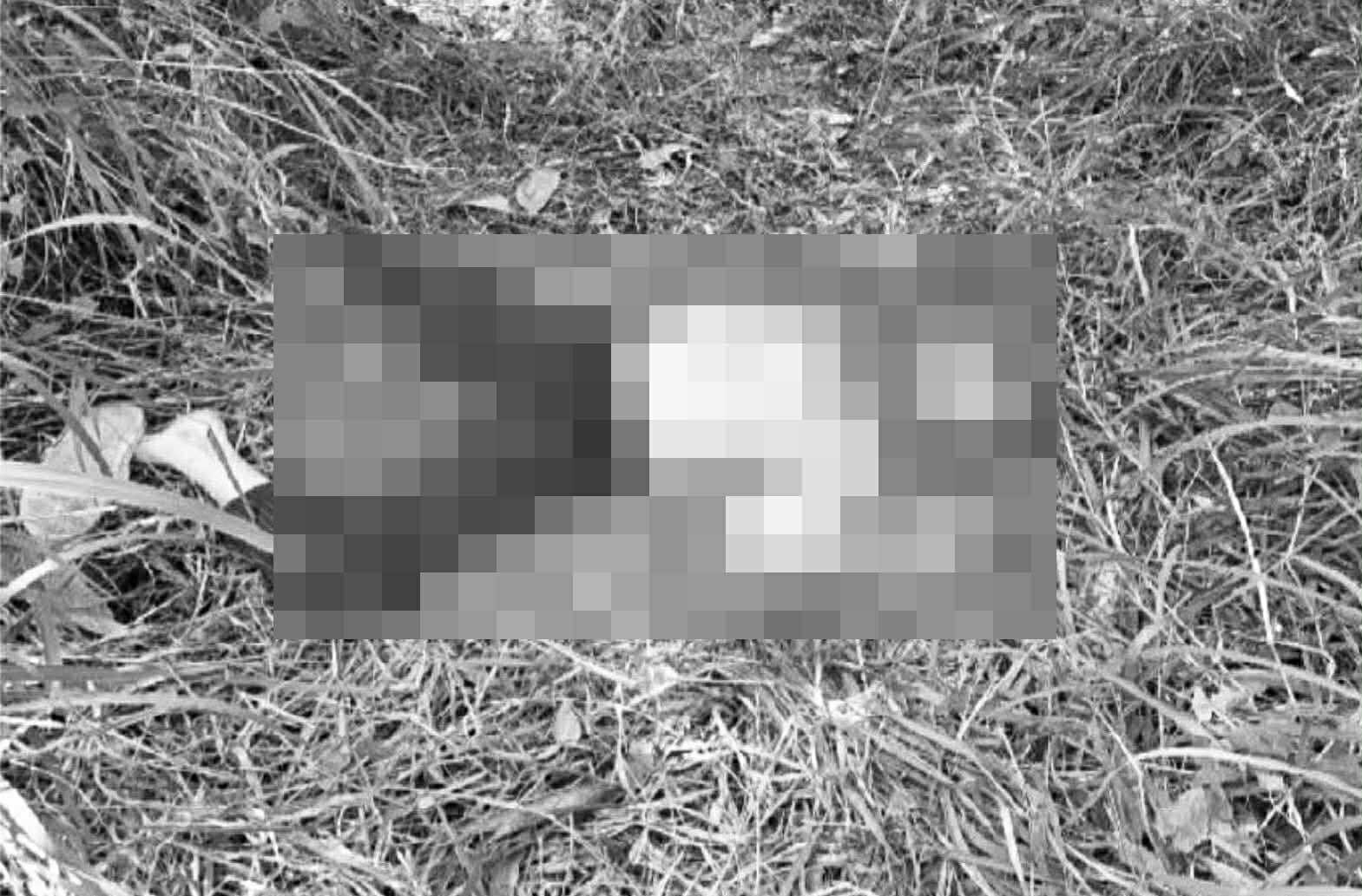 Photo courtesy: COCPO