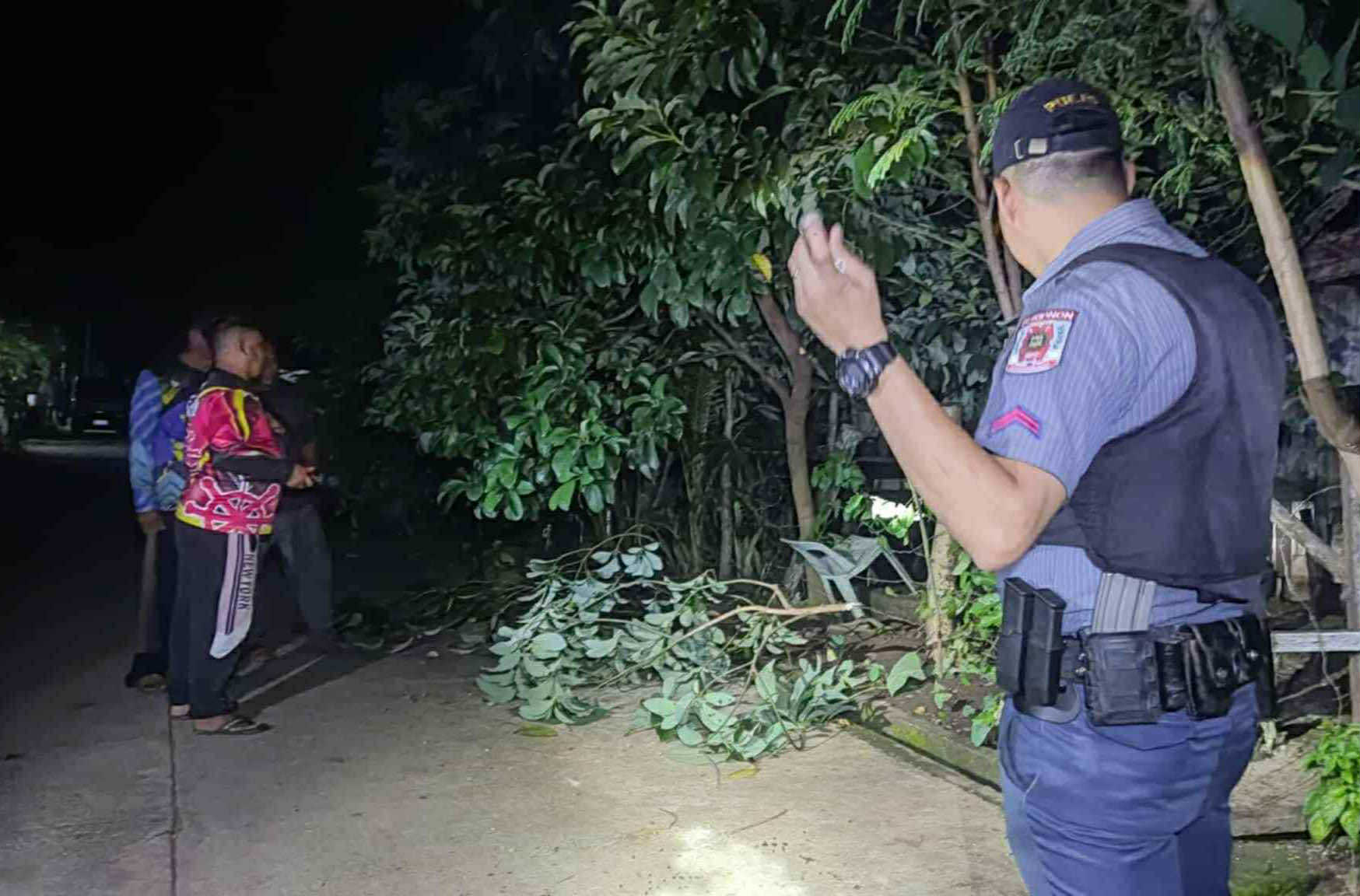 Photo courtesy: Bukidnon PPO