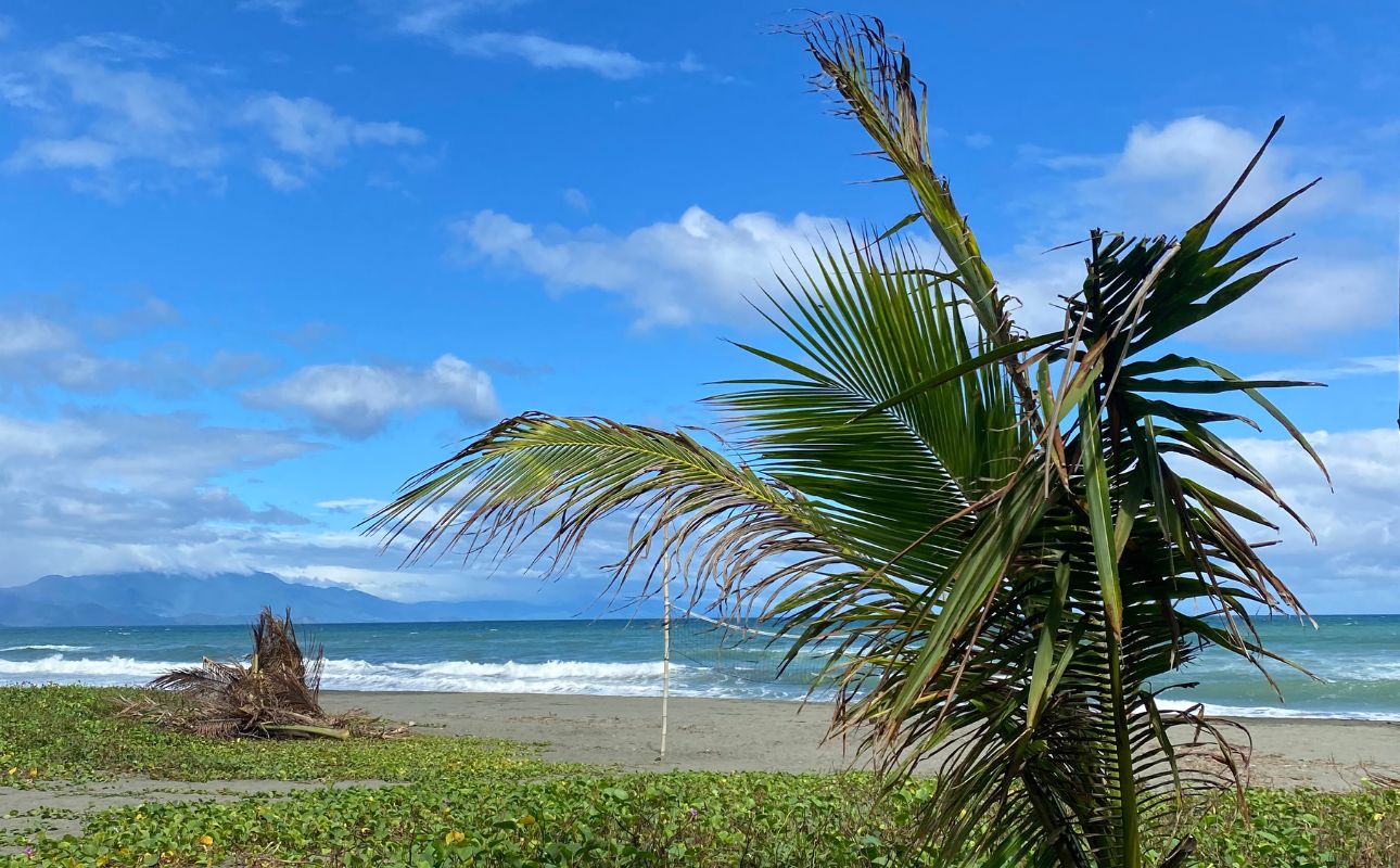 Summer time has arrived, according to state weather bureau PAGASA | Photo: Bryan Presillas