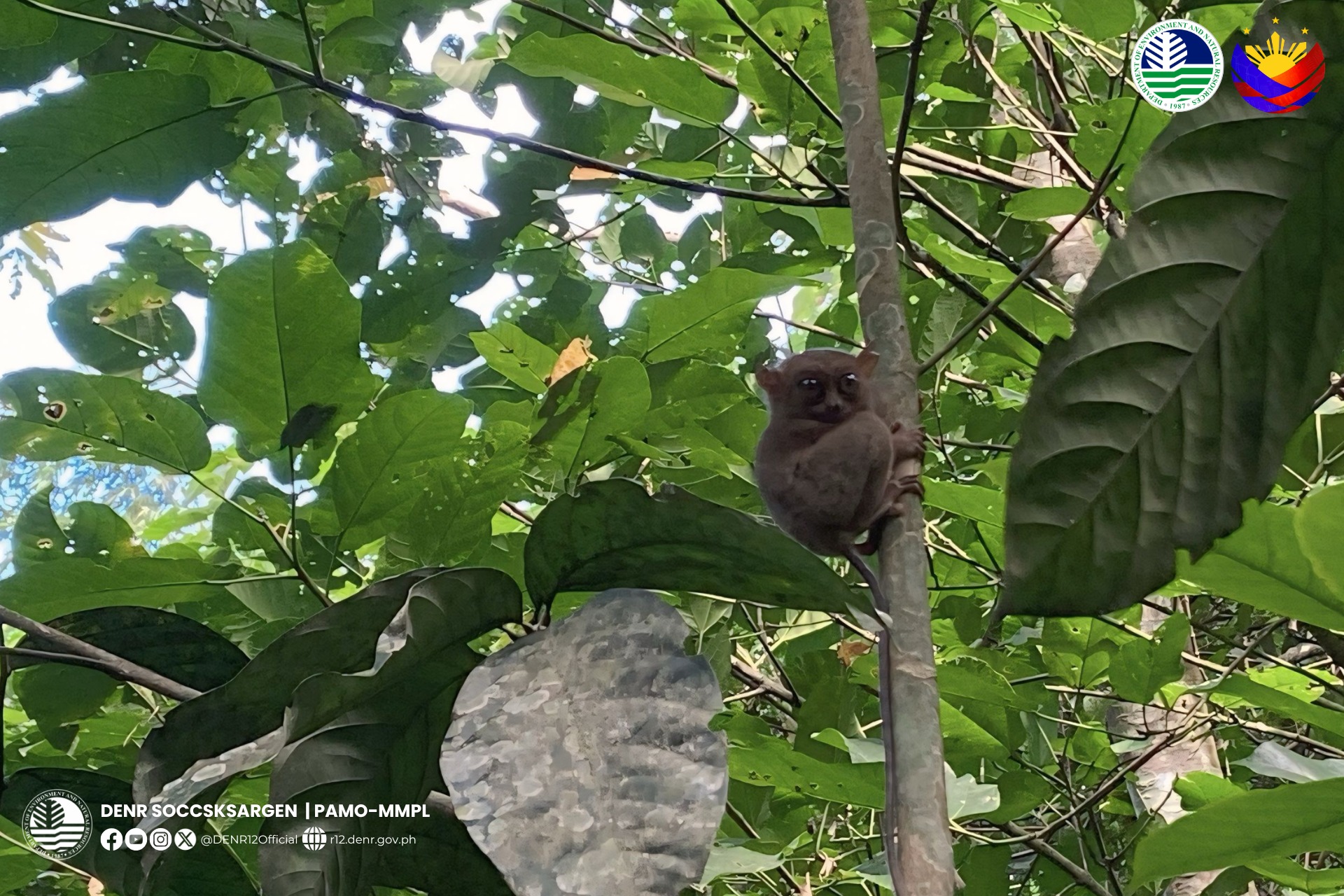 Photo courtesy: DENR-12