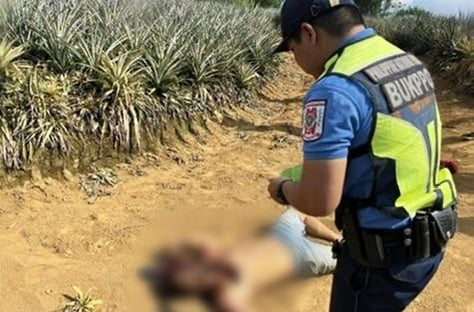 Photo courtesy: Bukidnon PPO