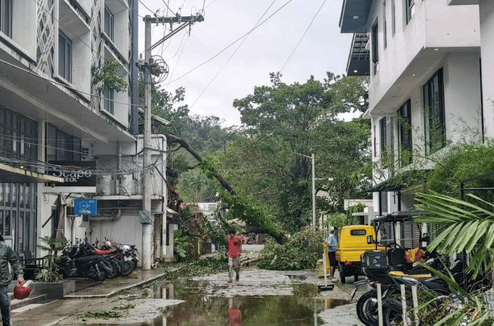 #TinoPH batters Palawan, floods towns and topples bridges