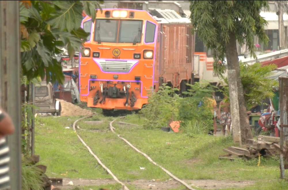 Woman gets hit by train while saving dog
