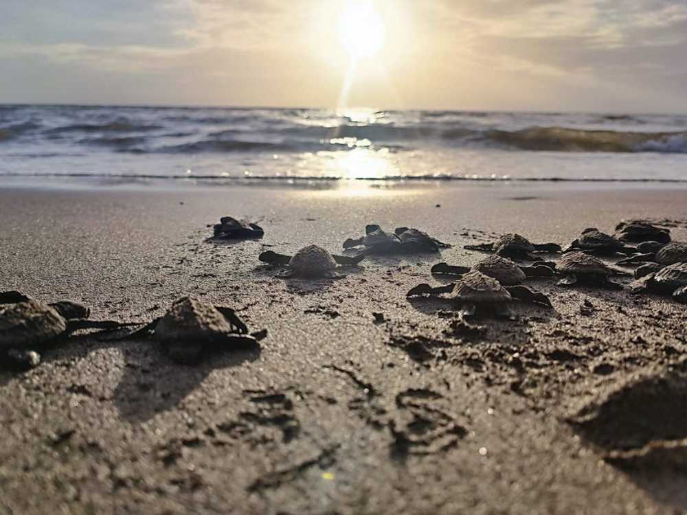 Photo Courtesy: Coast Guard Southern Tagalog