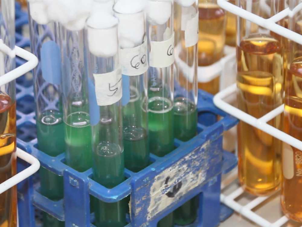 Photo via One North Central Luzon