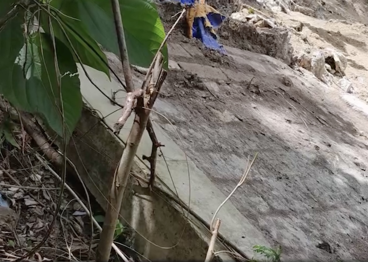 Image courtesy: Joel Romero Umboy