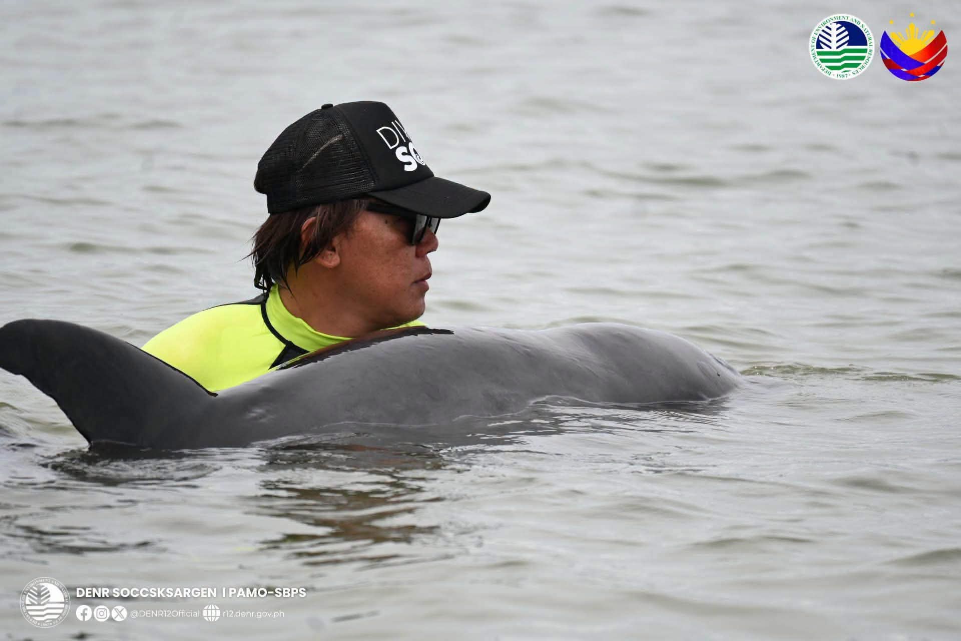 Photo courtesy: CENRO Glan and PAMO-SBPS/DENR-12
