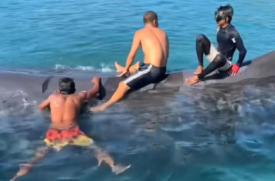 Image from video via Hazi Masukat