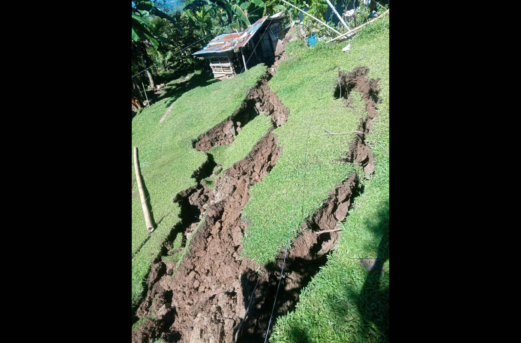 Photo courtesy: Sujetado Jennifer