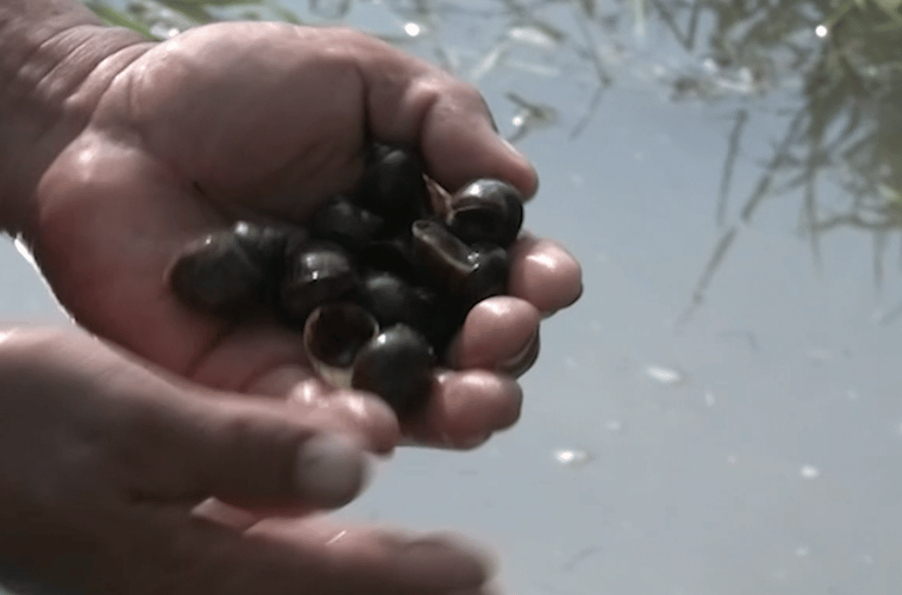 Photo via GMA Regional TV One North Central Luzon