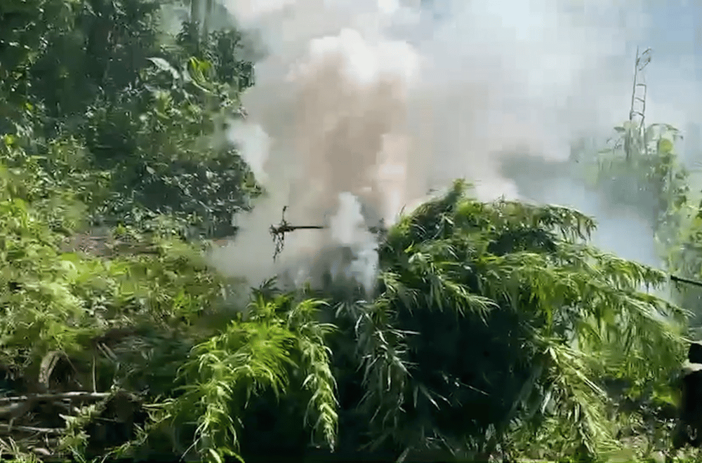 Photo courtesy of PDEA-1