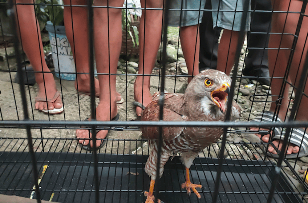 Photo courtesy: Explore Lasam, Cagayan