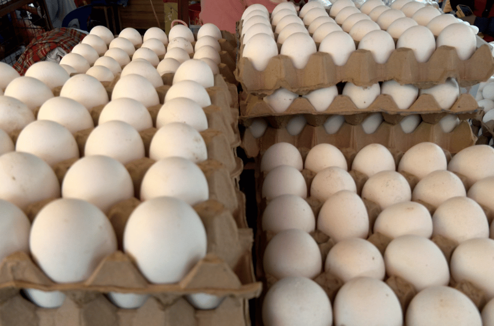 Photo via GMA Regional TV One North Central Luzon