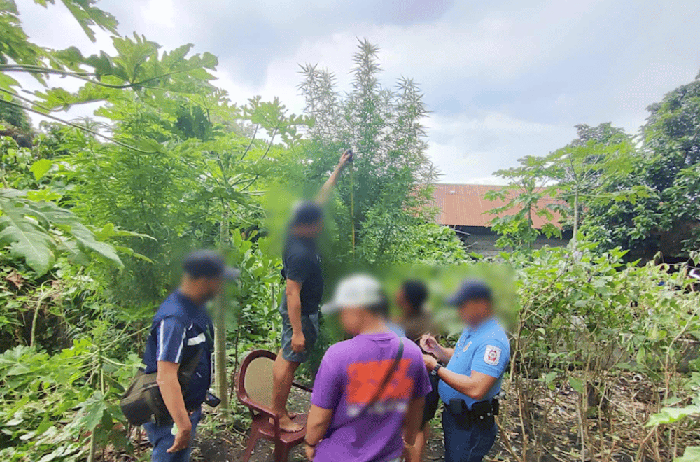 Photo courtesy: Cabiao Police Station