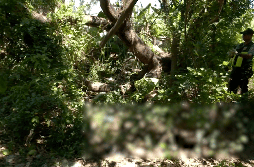 Photo via GMA Regional TV One North Central Luzon