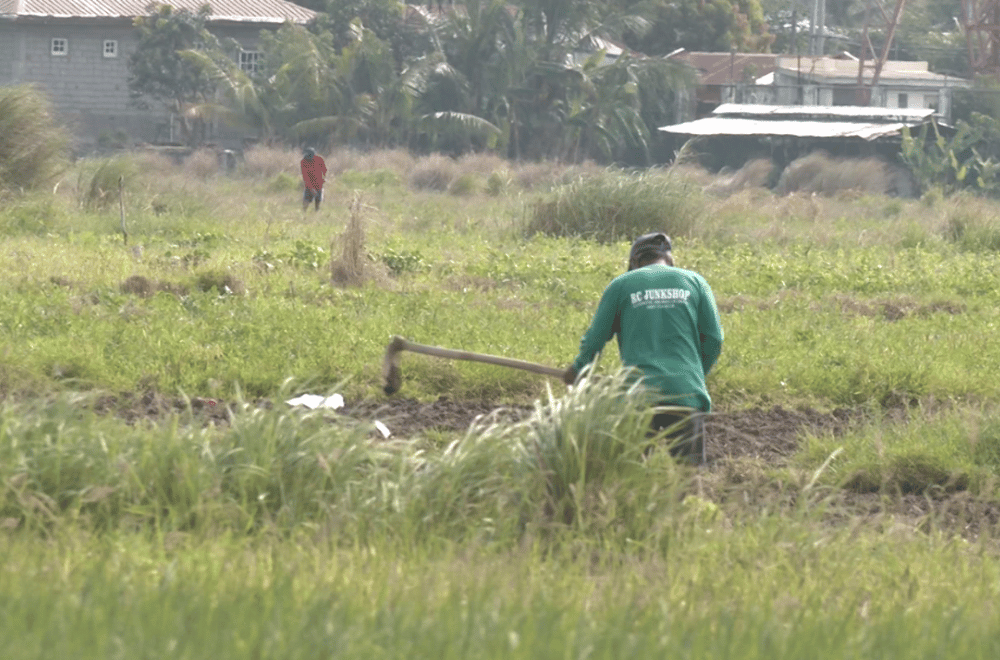 Photo via GMA Regional TV One North Central Luzon